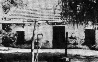 posta.jpg (19280 bytes)